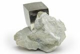 Natural Pyrite Cube In Rock - Navajun, Spain #218998-1